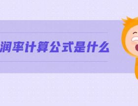 銷售利潤(rùn)率計(jì)算公式